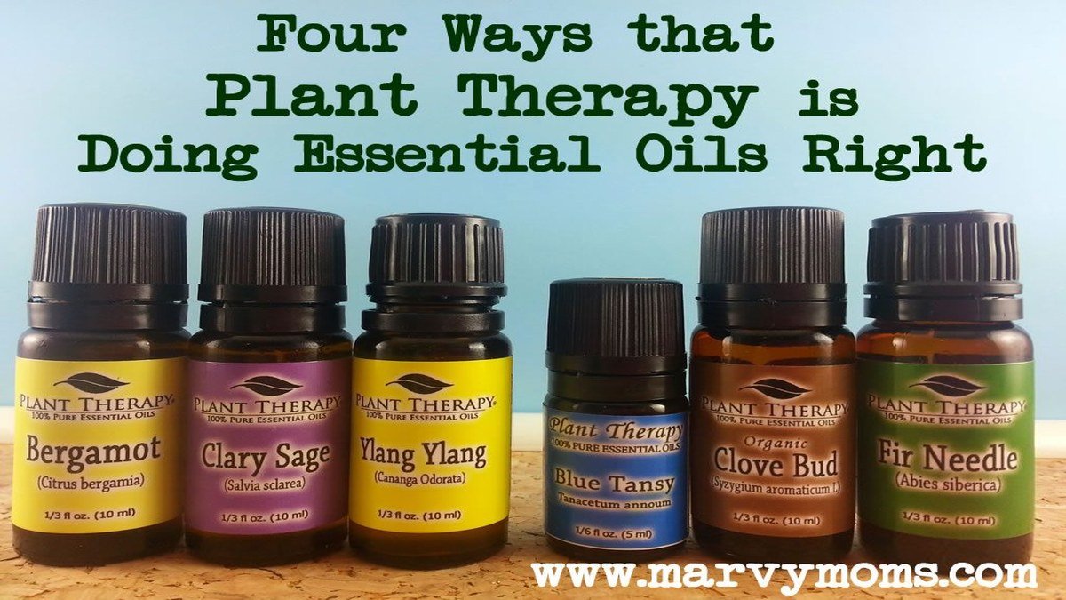 plant therapy product image
